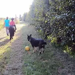 Ca' Del Ferro Feriegård *