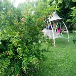 Ca' Del Ferro Feriegård Zevio