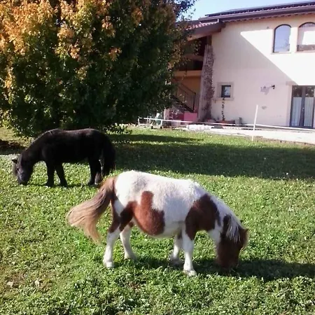 Ca' Del Ferro Zevio