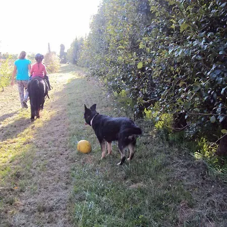 Ca' Del Ferro Farma *